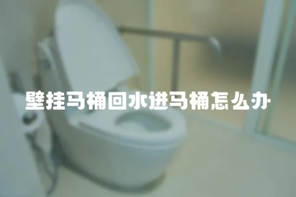 壁掛馬桶回水進馬桶怎么辦