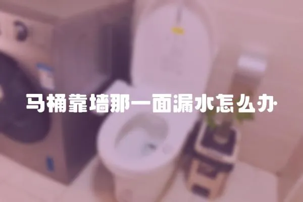 馬桶靠墻那一面漏水怎么辦