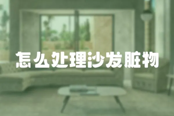 怎么處理沙發(fā)臟物