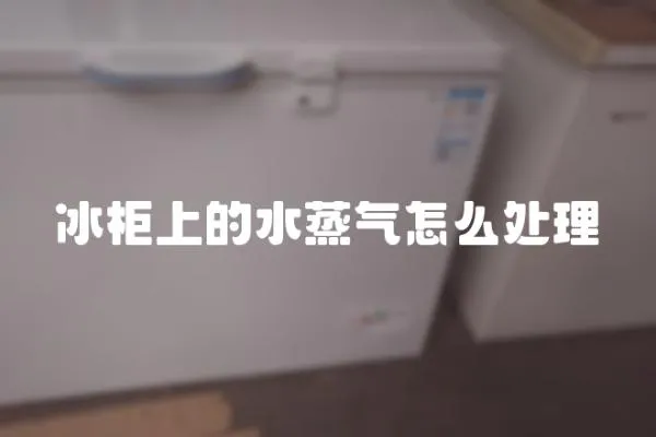 冰柜上的水蒸氣怎么處理