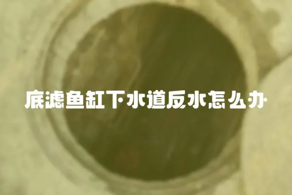 底濾魚缸下水道反水怎么辦