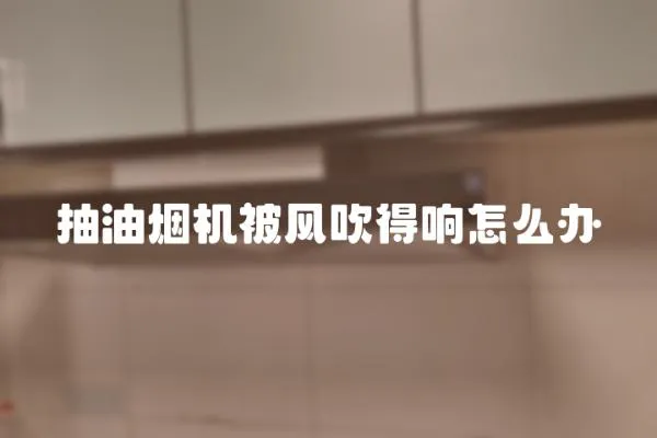 抽油煙機被風吹得響怎么辦