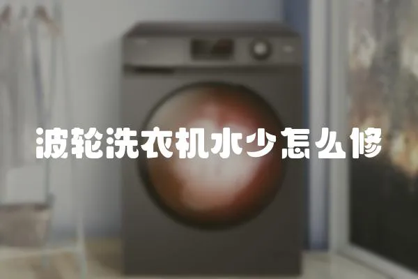 波輪洗衣機(jī)水少怎么修