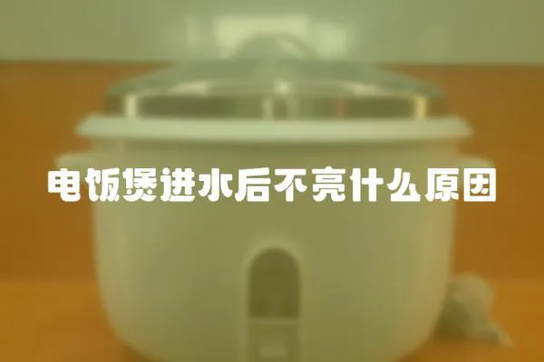 電飯煲進(jìn)水后不亮什么原因