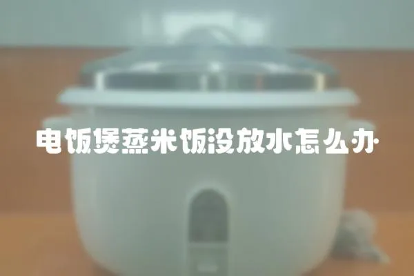電飯煲蒸米飯沒放水怎么辦