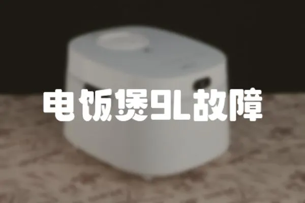 電飯煲9L故障