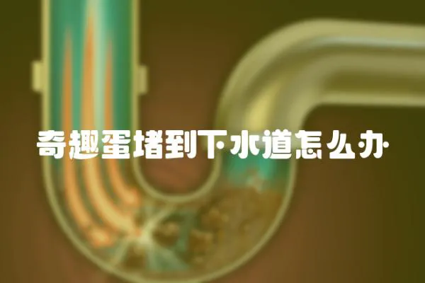 奇趣蛋堵到下水道怎么辦