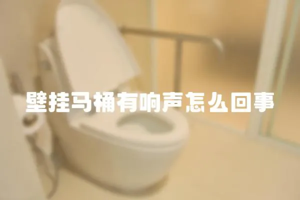 壁掛馬桶有響聲怎么回事