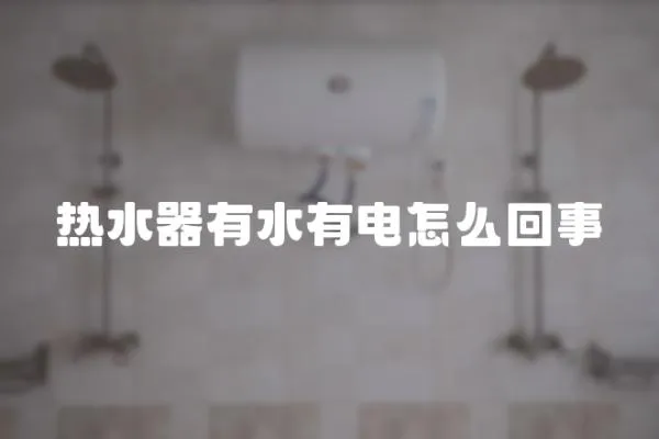 熱水器有水有電怎么回事