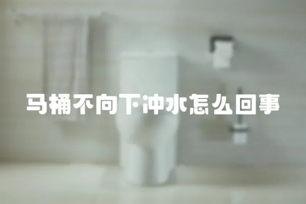 馬桶不向下沖水怎么回事