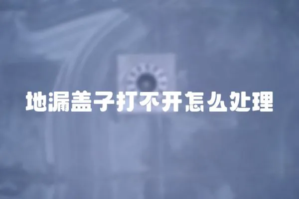 地漏蓋子打不開怎么處理