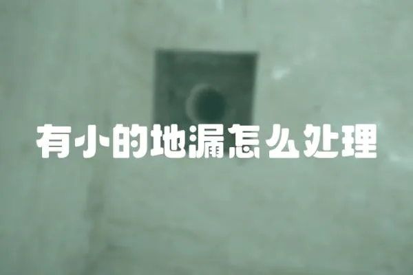 有小的地漏怎么處理