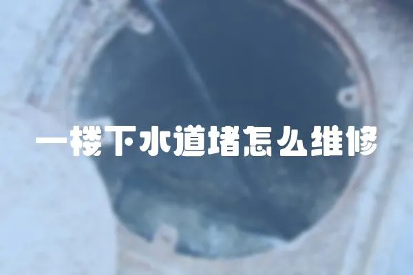 一樓下水道堵怎么維修