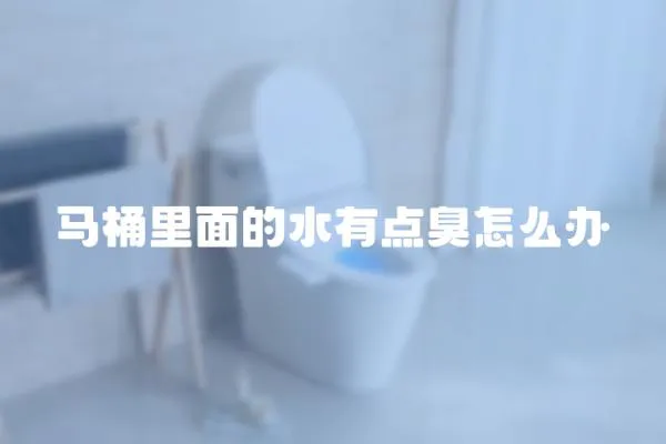 馬桶里面的水有點臭怎么辦