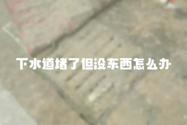 下水道堵了但没东西怎么办