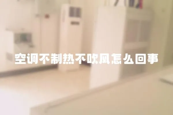 空調不制熱不吹風怎么回事