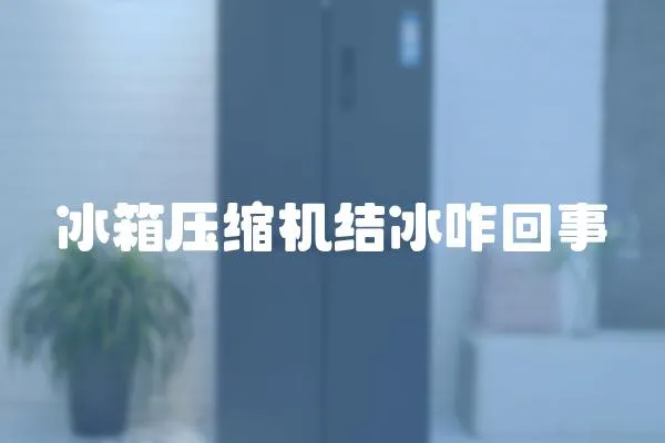 冰箱壓縮機(jī)結(jié)冰咋回事