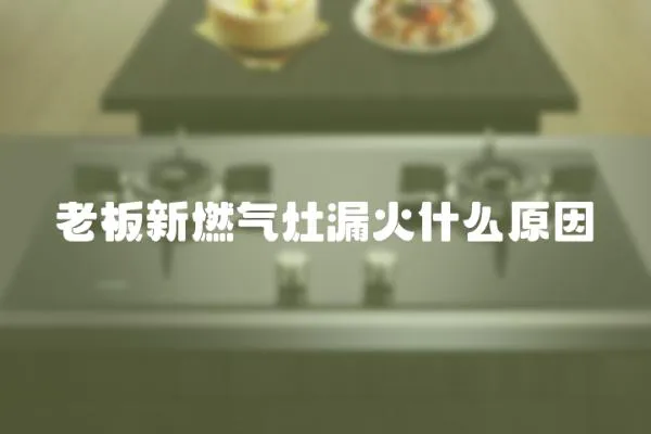 老板新燃氣灶漏火什么原因