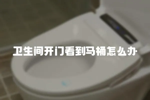 衛(wèi)生間開門看到馬桶怎么辦