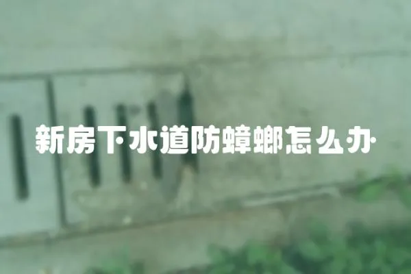 新房下水道防蟑螂怎么辦