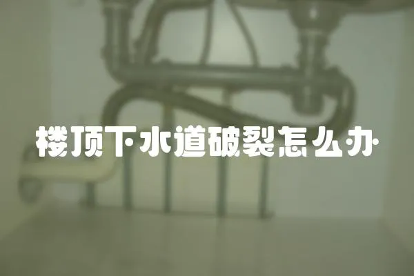 樓頂下水道破裂怎么辦