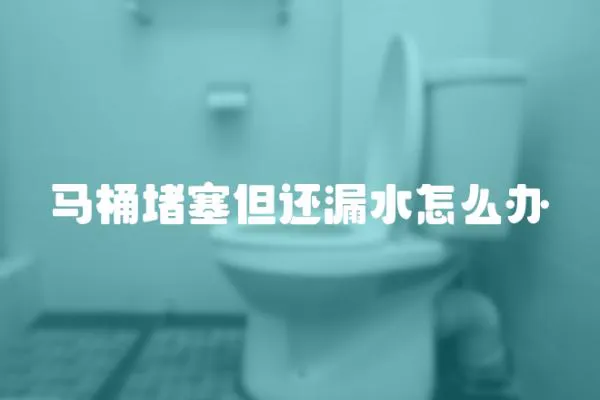 馬桶堵塞但還漏水怎么辦