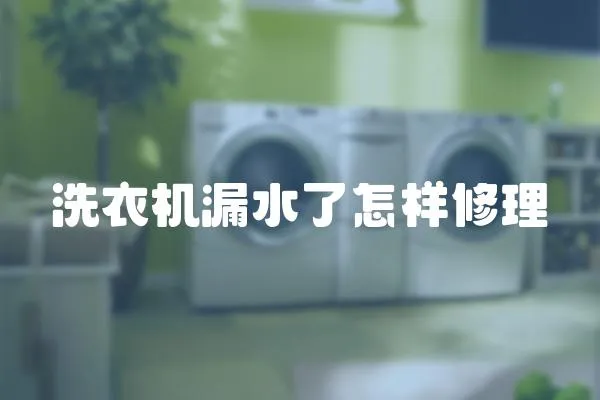 洗衣機(jī)漏水了怎樣修理
