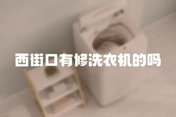 西街口有修洗衣機的嗎