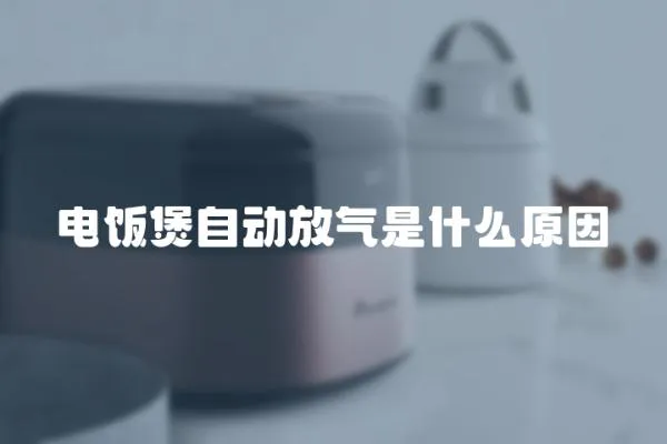 電飯煲自動放氣是什么原因