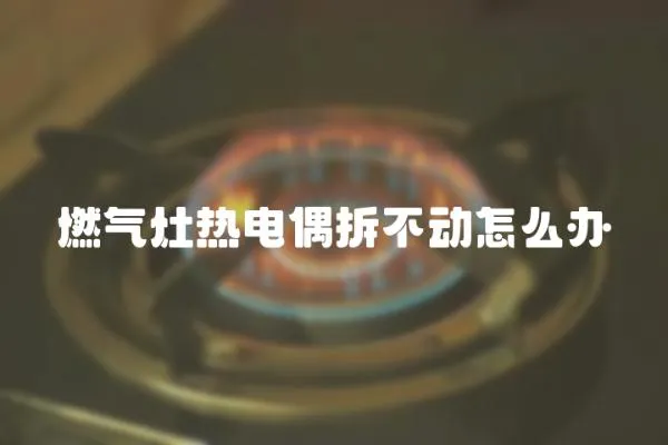 燃?xì)庠顭犭娕疾鸩粍?dòng)怎么辦