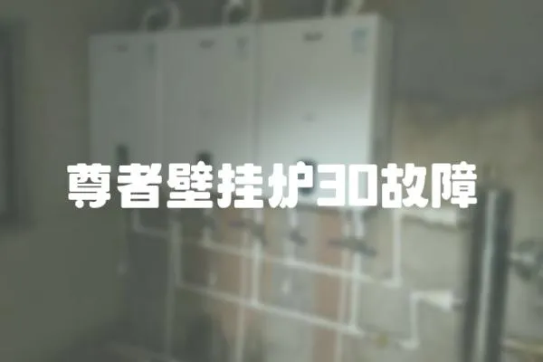 尊者壁掛爐30故障