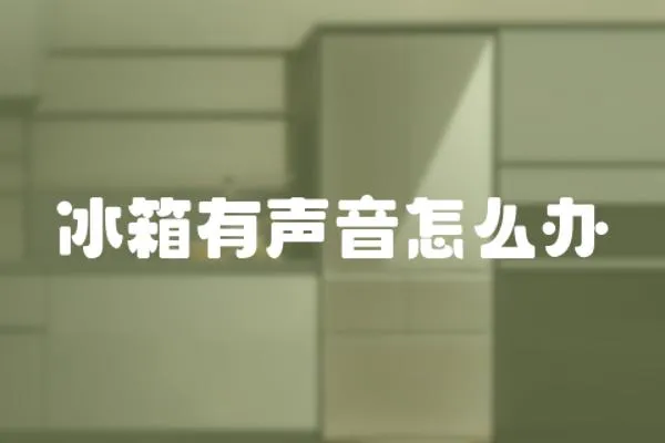 冰箱有聲音怎么辦