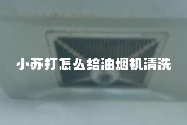 小蘇打怎么給油煙機清洗