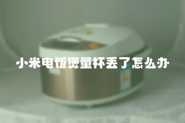 小米電飯煲量杯丟了怎么辦
