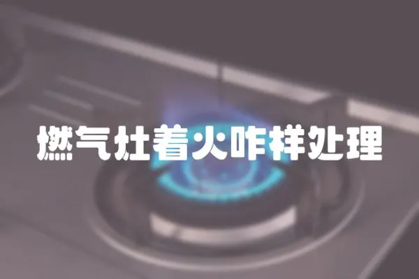 燃?xì)庠钪鹫犹幚?></a></div>
                    <div   id=