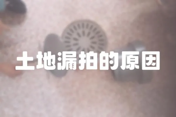 土地漏拍的原因