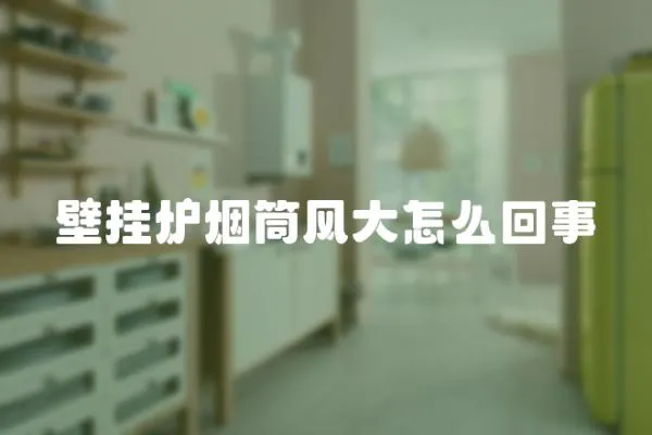 壁掛爐煙筒風大怎么回事