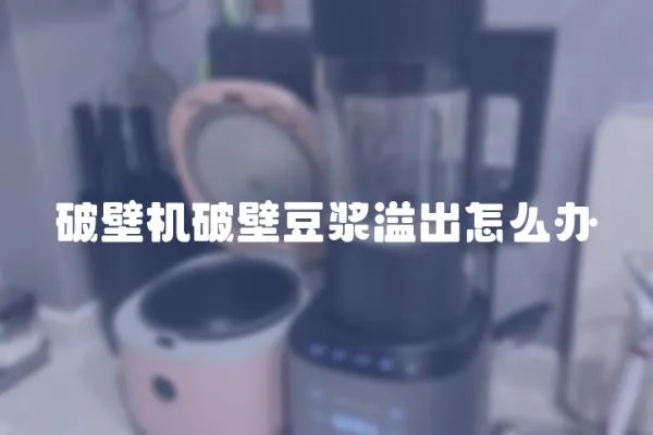 破壁機破壁豆?jié){溢出怎么辦