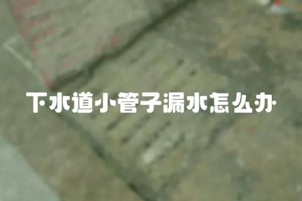 下水道小管子漏水怎么辦