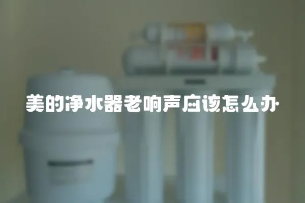 美的凈水器老響聲應該怎么辦