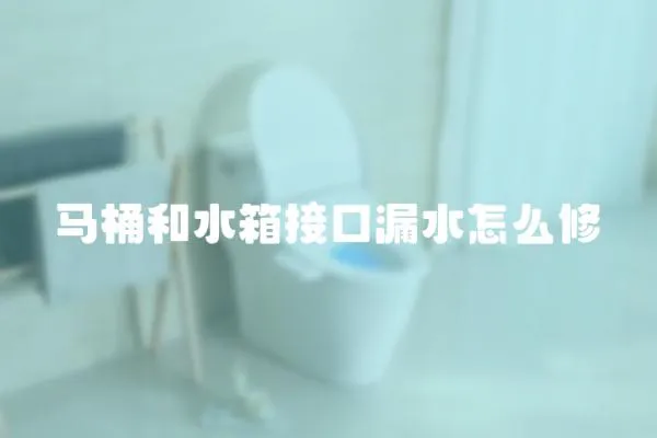 馬桶和水箱接口漏水怎么修