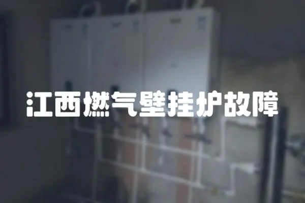 江西燃氣壁掛爐故障