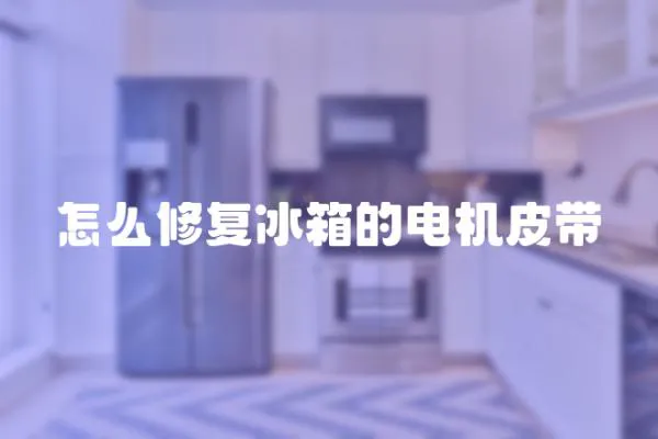 怎么修復(fù)冰箱的電機(jī)皮帶