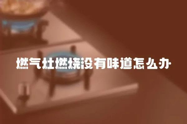 燃?xì)庠钊紵龥]有味道怎么辦