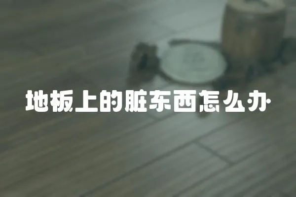 地板上的臟東西怎么辦
