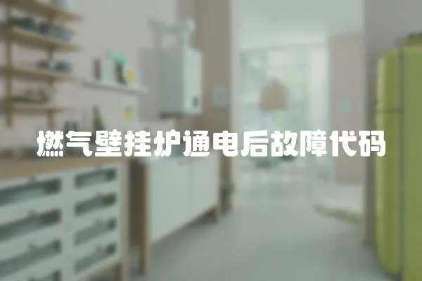 燃?xì)獗趻鞝t通電后故障代碼