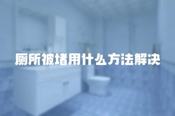 廁所被堵用什么方法解決