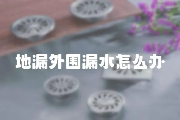 地漏外圍漏水怎么辦