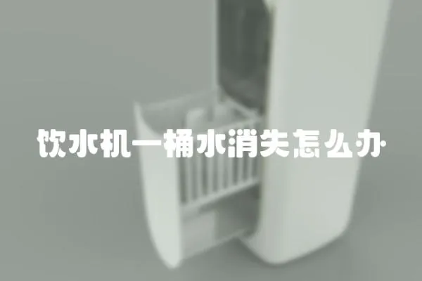 飲水機(jī)一桶水消失怎么辦