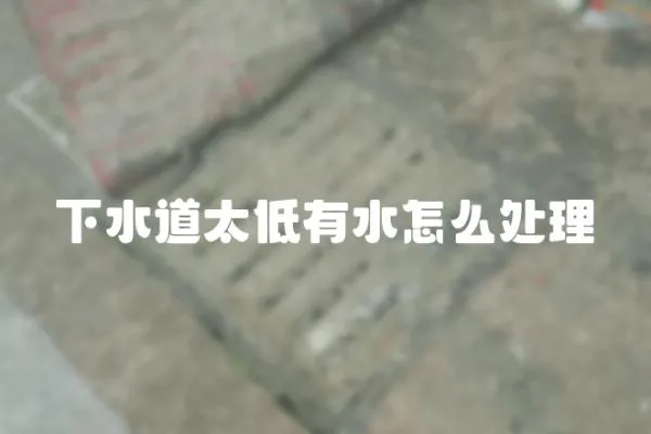 下水道太低有水怎么處理